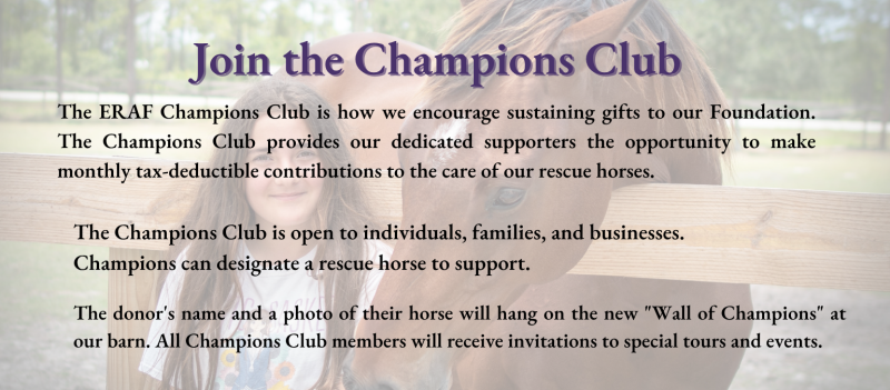 Champion A Rescue Horse