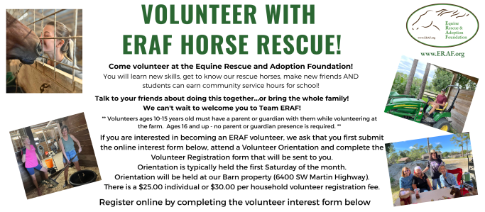 Website Graphic Volunteers 1