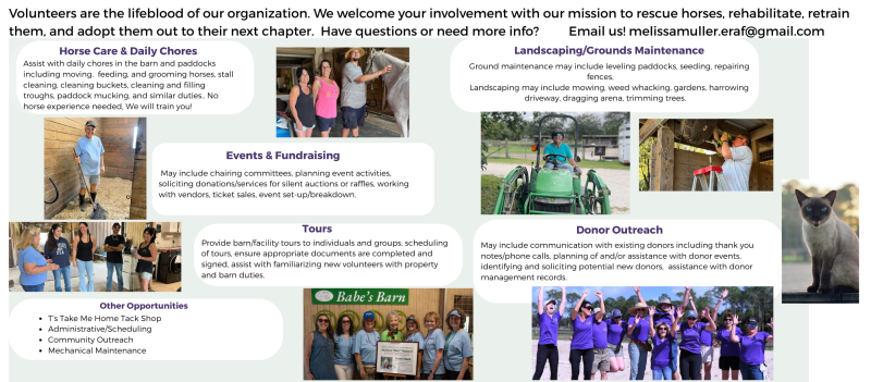 Website Graphic Volunteers 2