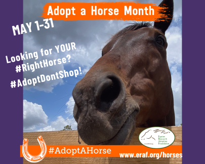 Adopt A horse Month COVER 