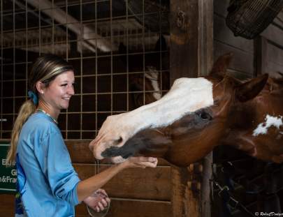 Boy Quarter Horse, Gelding Adopted August 2022