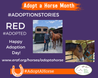 Red Adopt A Horse Month