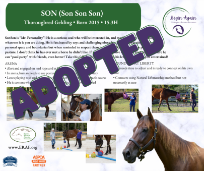 SonSonSon Begin Again ADOPTED 