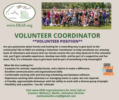 Volunteer Coordinator