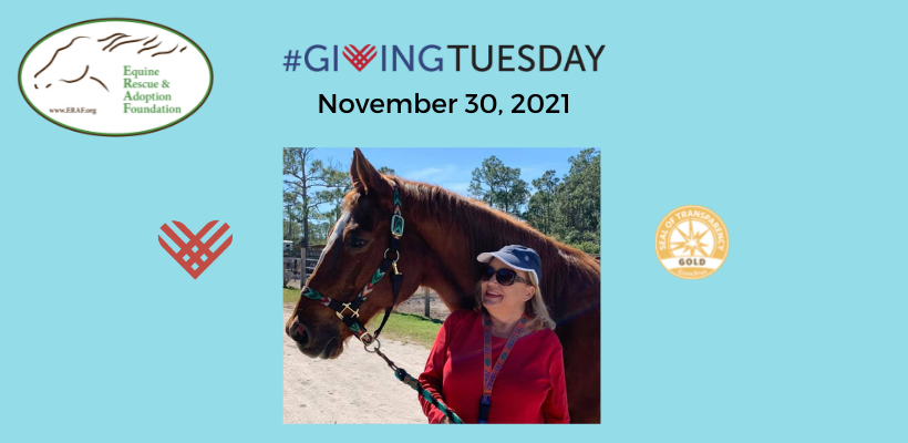 GivingTues2021Page3